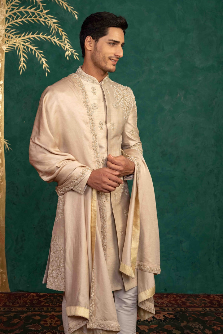 Champagne Gold sherwani
